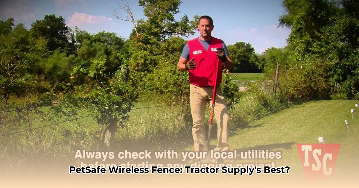 petsafe-wireless-fence-tractor-supply